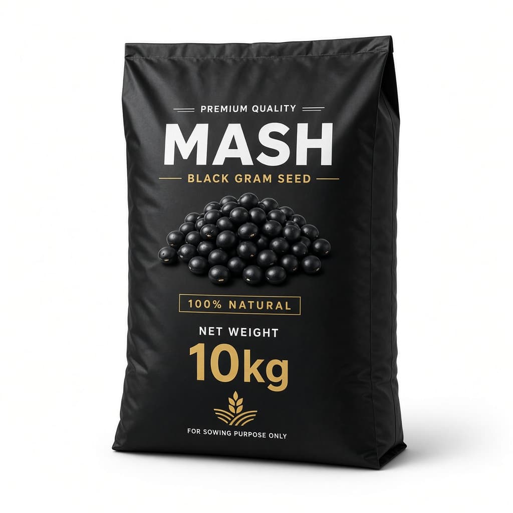 Mash bean seed — 10 kg