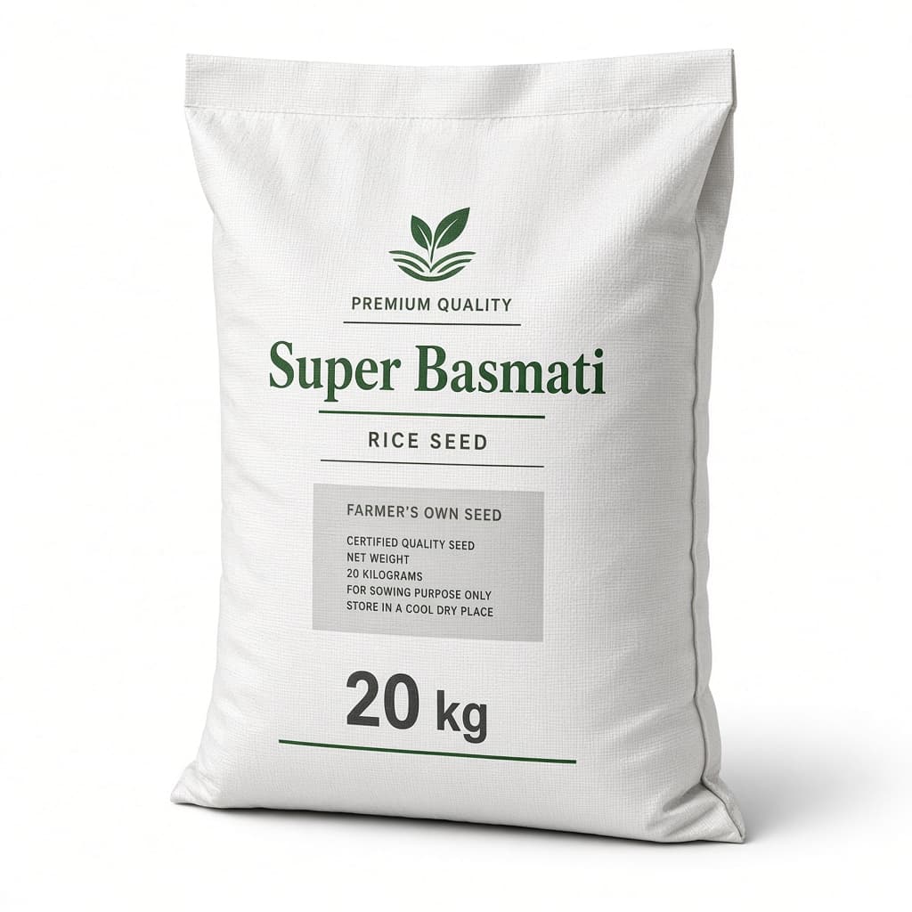 Super basmati rice seed — 20 kg