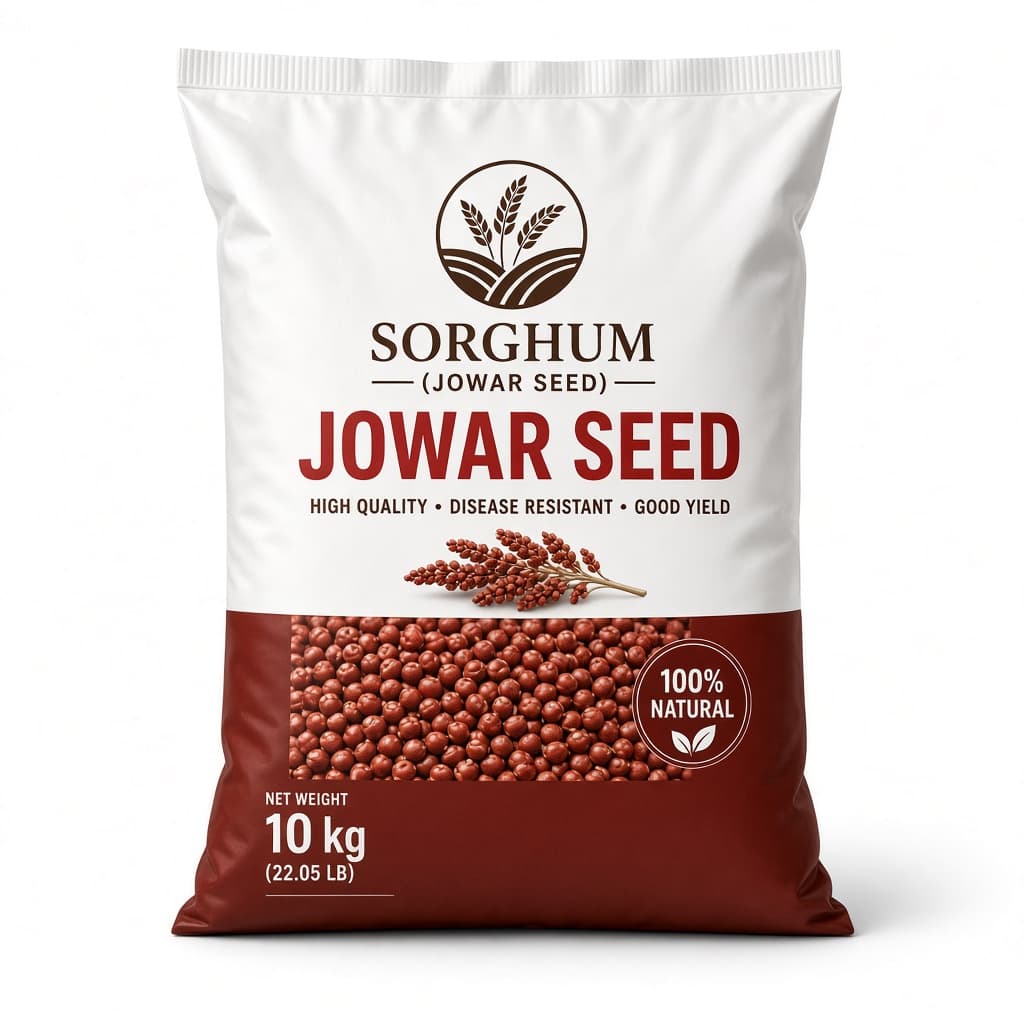 Jowar sorghum seed — 10 kg