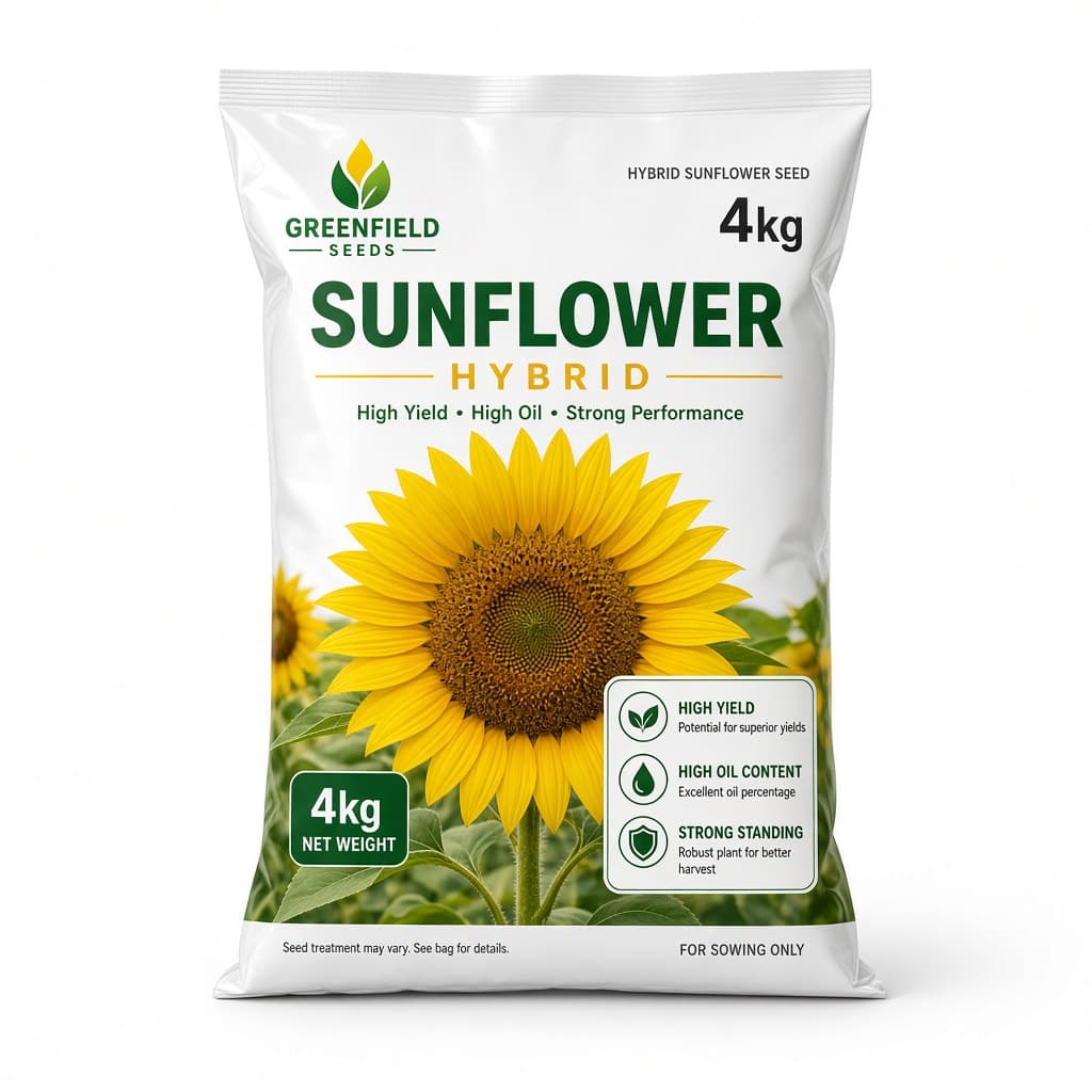 Hybrid sunflower seed — 4 kg